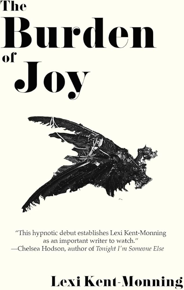 The Burden of Joy cover